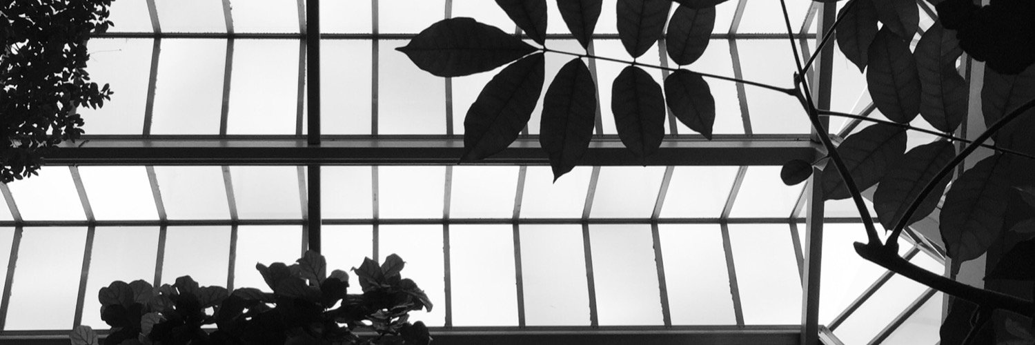 bronwynlewis's profile banner image