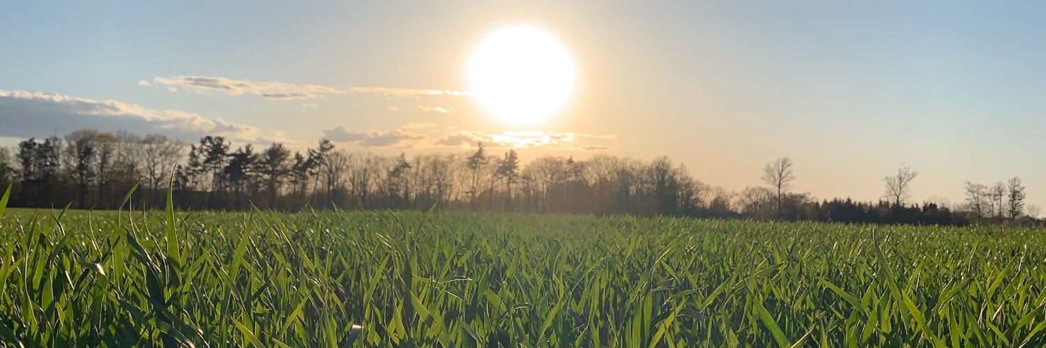 Mathew Muscat banner