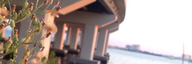 rakallou's profile banner image