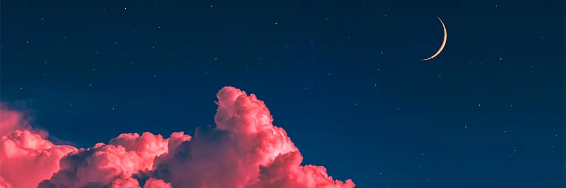 HumanusAlice's profile banner image
