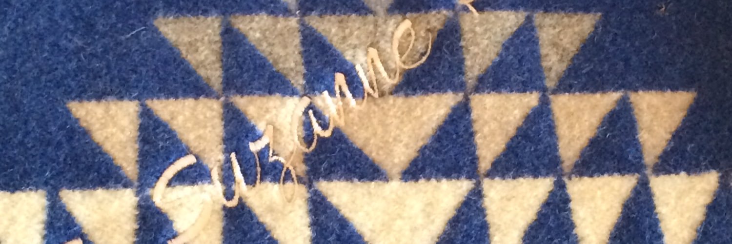 zannerbee's profile banner image