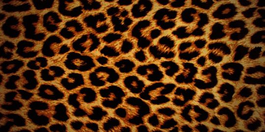 ItsSimplyChanse's profile banner image