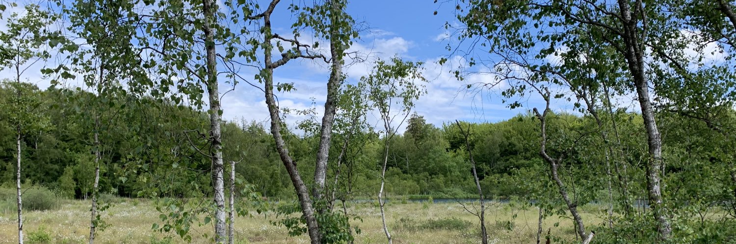 Simon Rasmussen banner