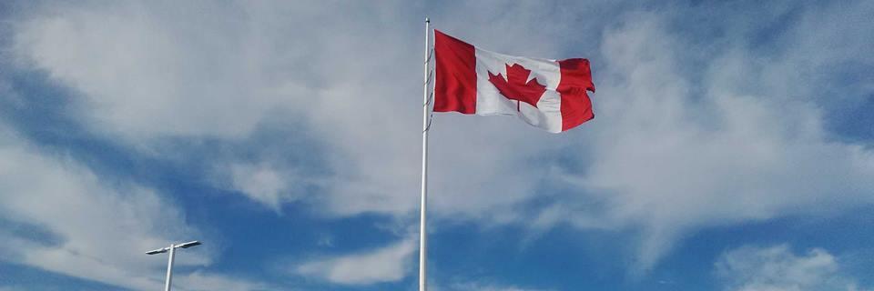 husky_notl's profile banner image