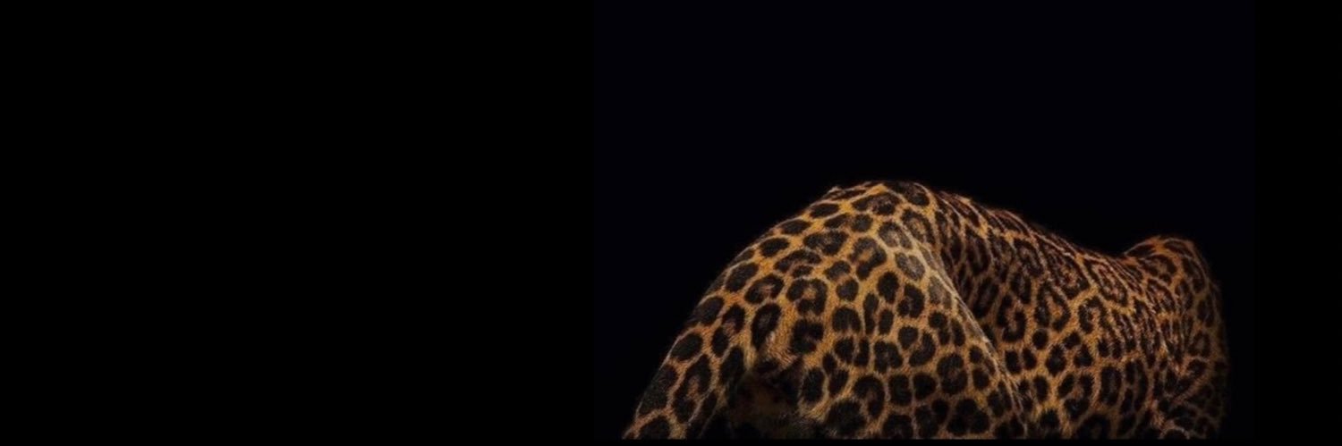 Clari_Aguillon's profile banner image