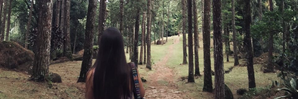 whoisoares_'s profile banner image