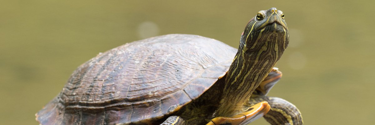 CSharman7's profile banner image
