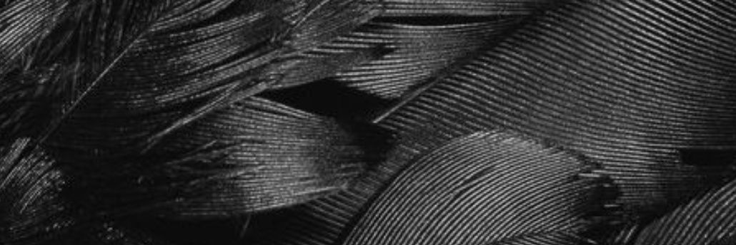 tynisaTstott's profile banner image