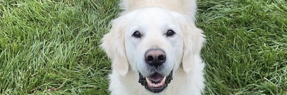 huffcade3's profile banner image