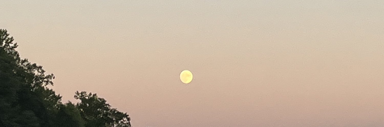 gabbyatkinson24's profile banner image