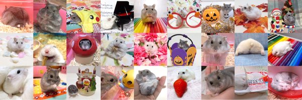 mocomo2co2 Profile Banner