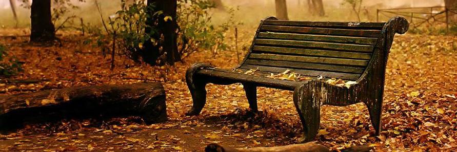 subhaannaaz's profile banner image