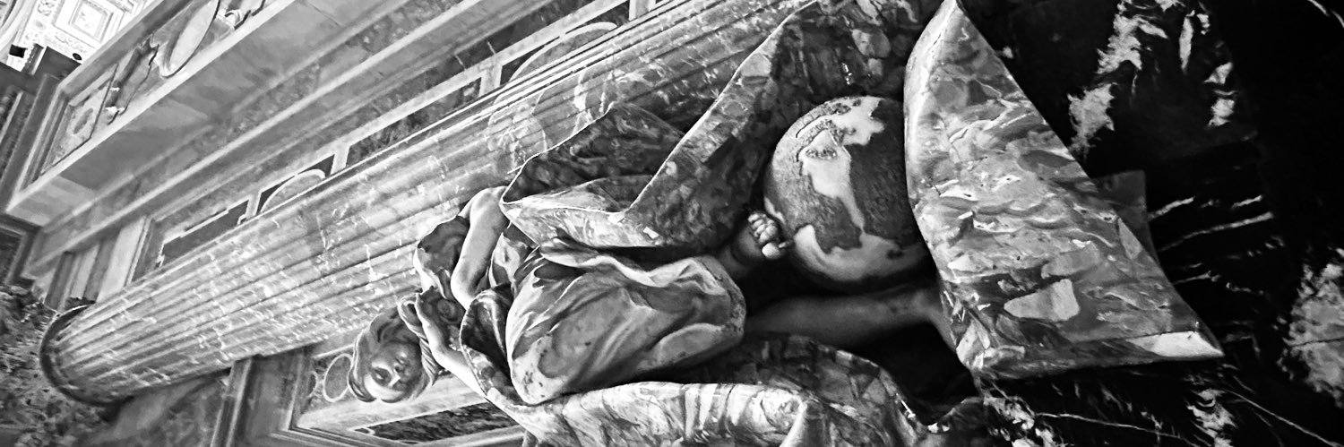 P_trichor's profile banner image
