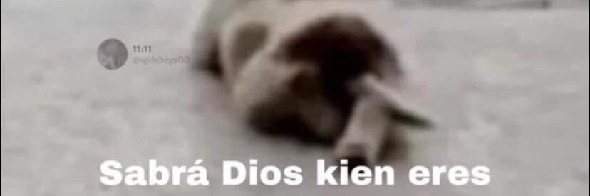 Fℓοrencια. banner