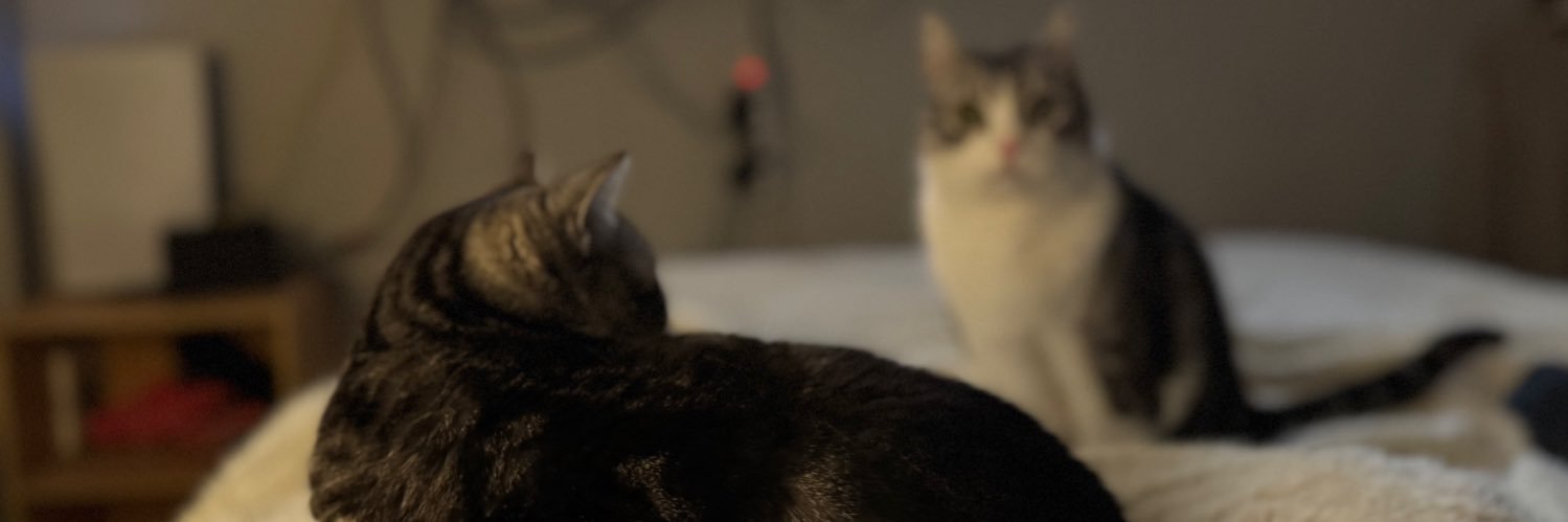 pacoo31's profile banner image