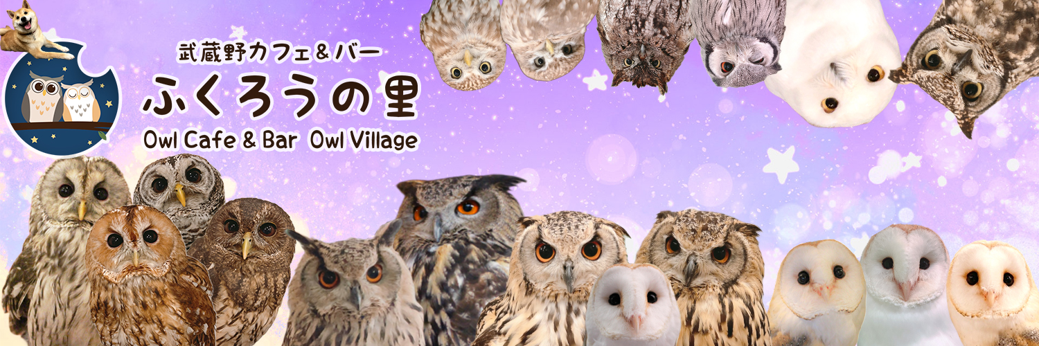 ふくろうの里 Owl Village's banner