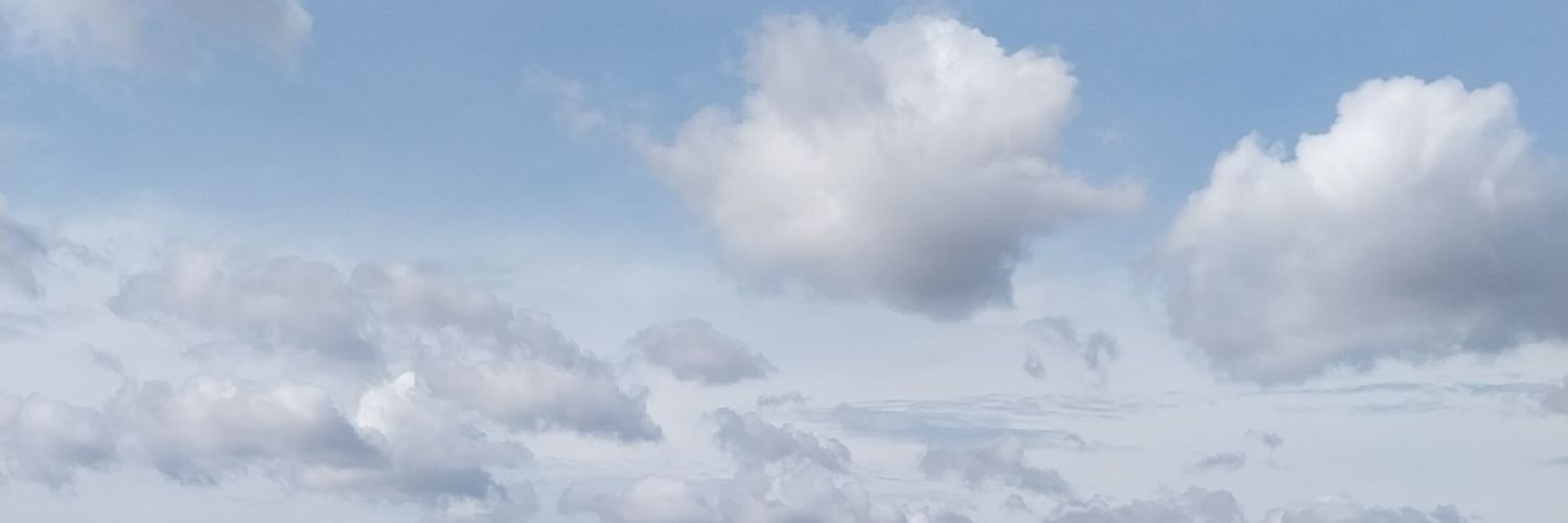 magfumi's profile banner image