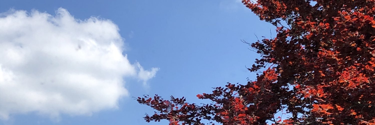 Wide_O_72's profile banner image