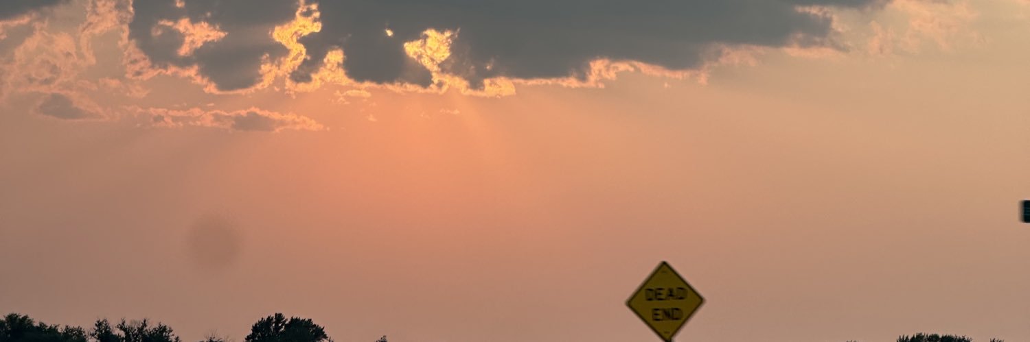 dweamybaby's profile banner image