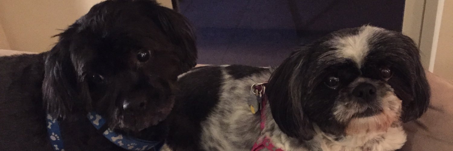 vicksinich's profile banner image