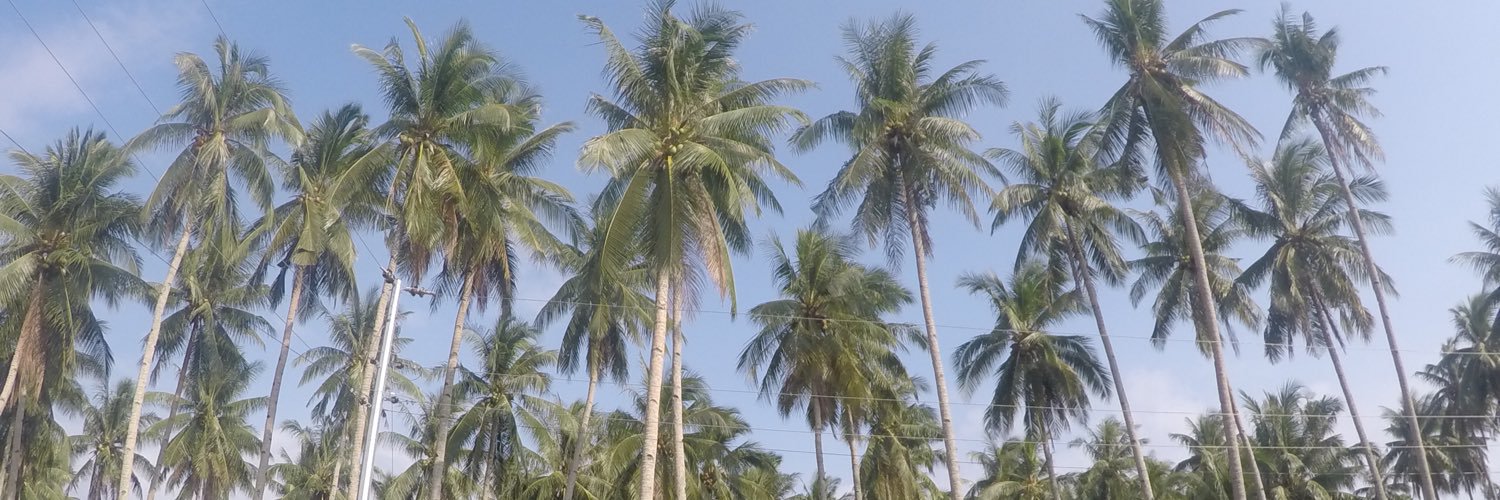 jaminafrias's profile banner image
