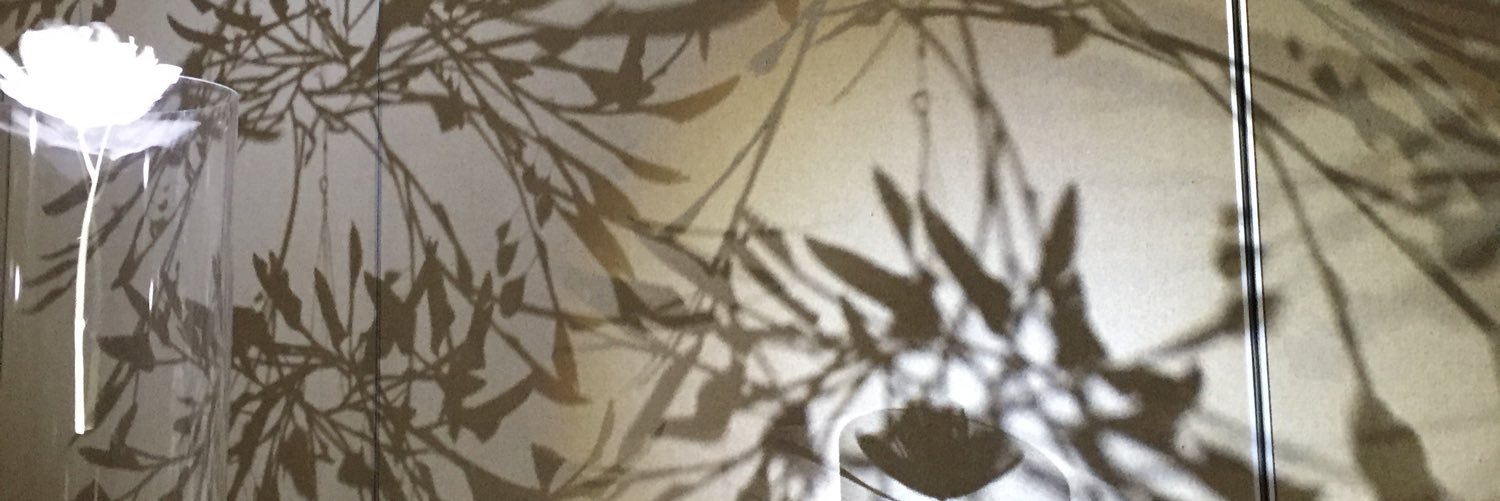 ran_dora's profile banner image