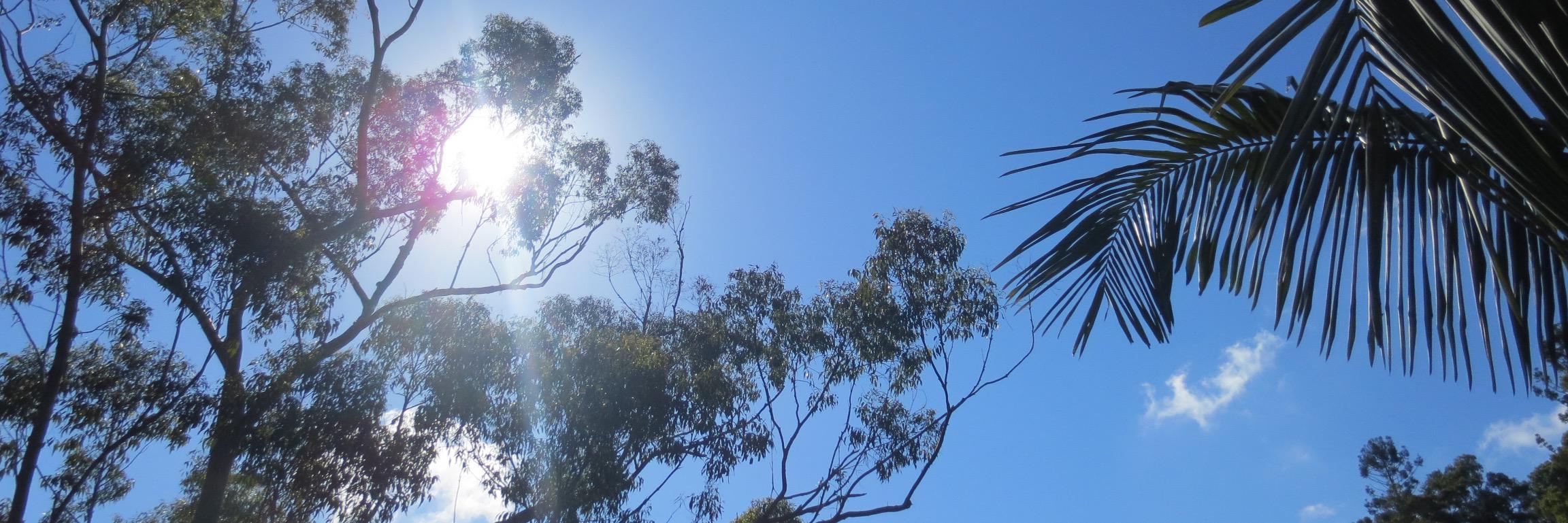 Dr Emily Tomlinson banner