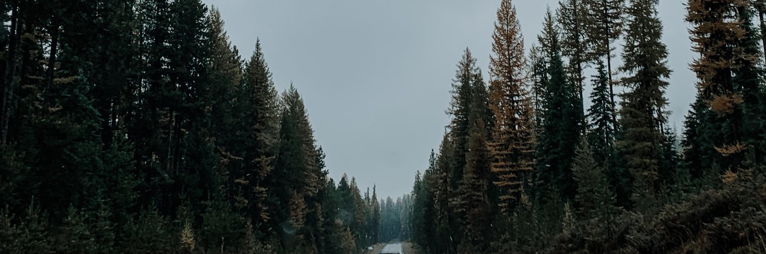 ericawilkey8's profile banner image