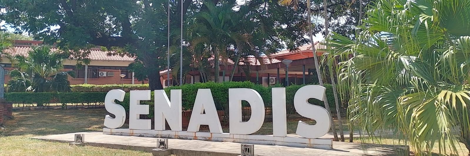 Senadis Paraguay banner