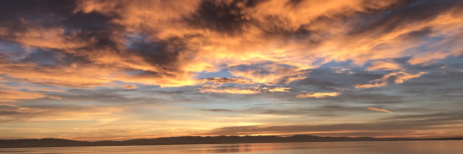 chipstrause's profile banner image