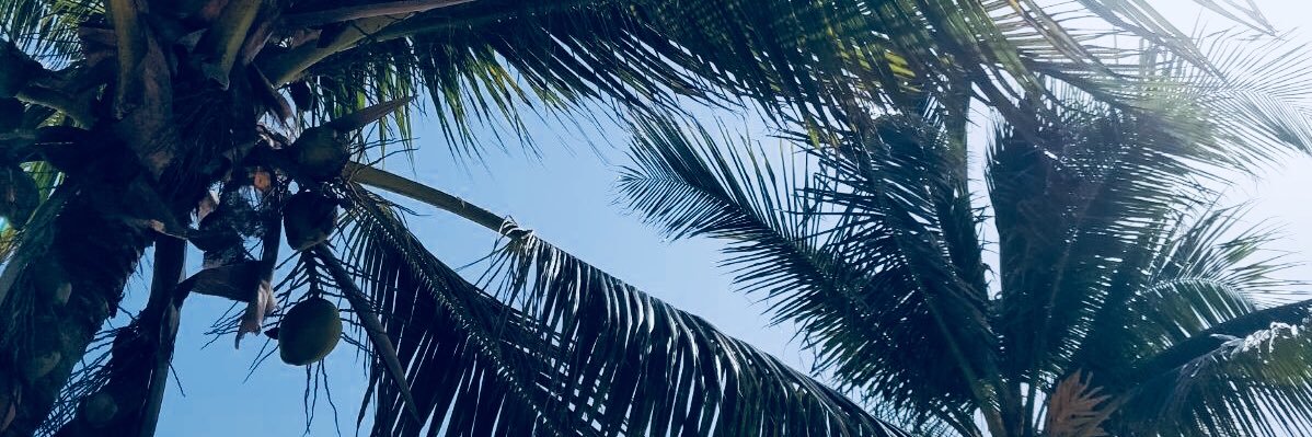 BeatrizLoGar's profile banner image