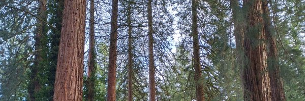 Em_Ron23 Profile Banner