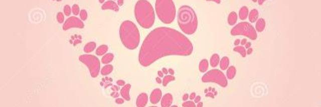 meol24's profile banner image