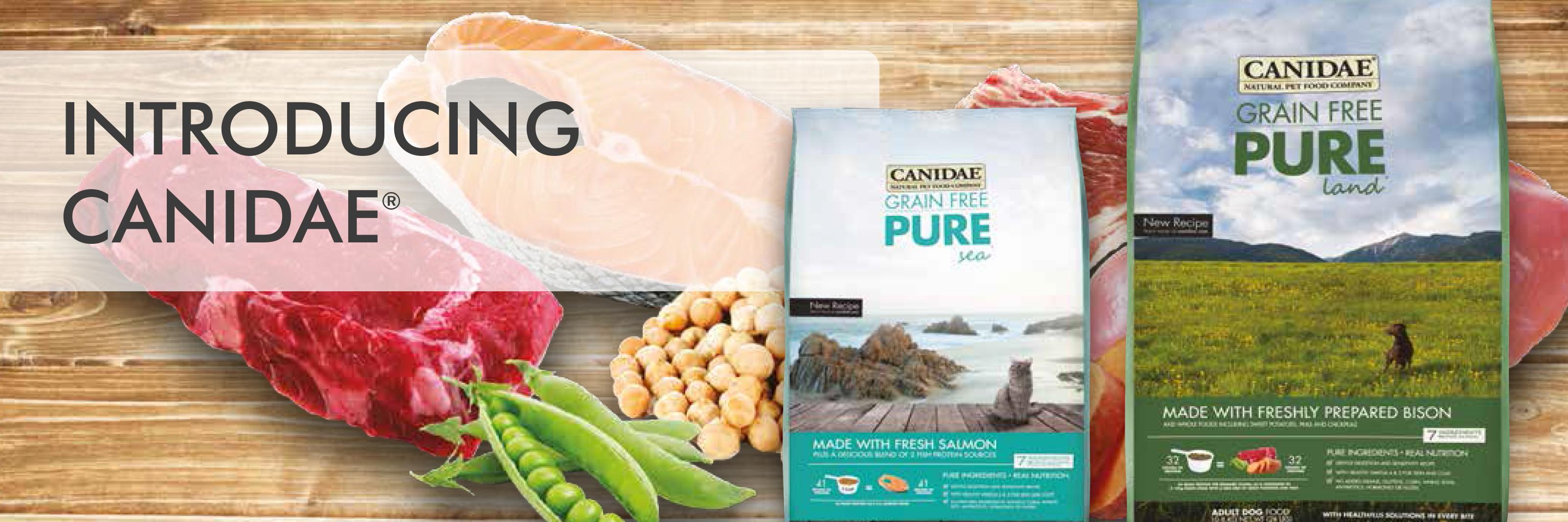CanidaeUK's profile banner image