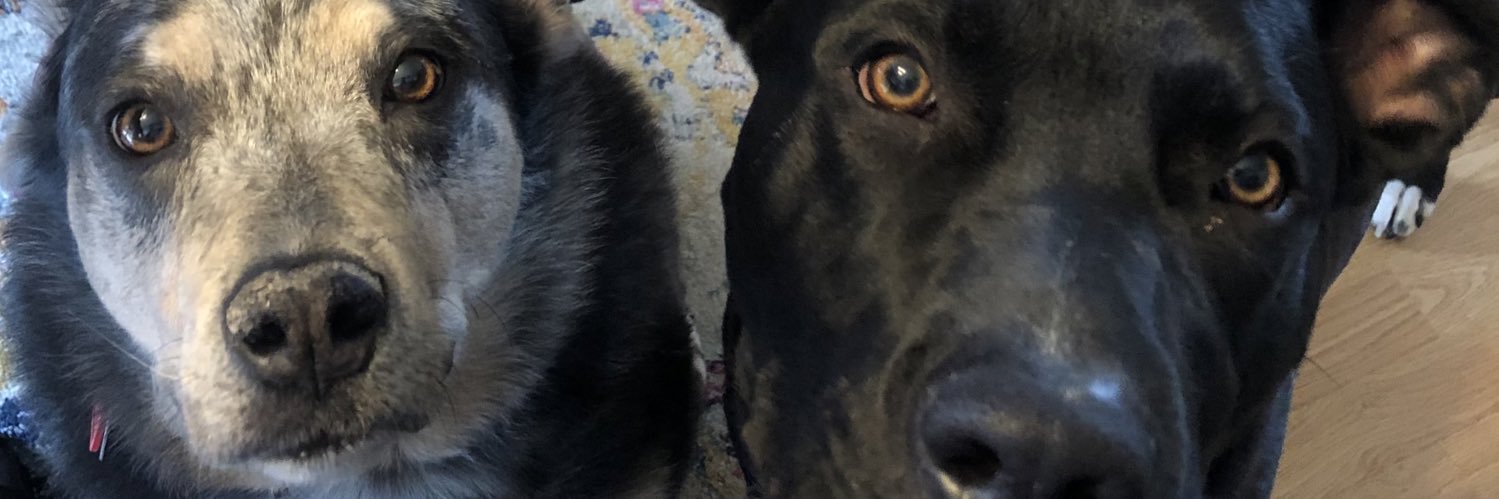 CDubnEld's profile banner image