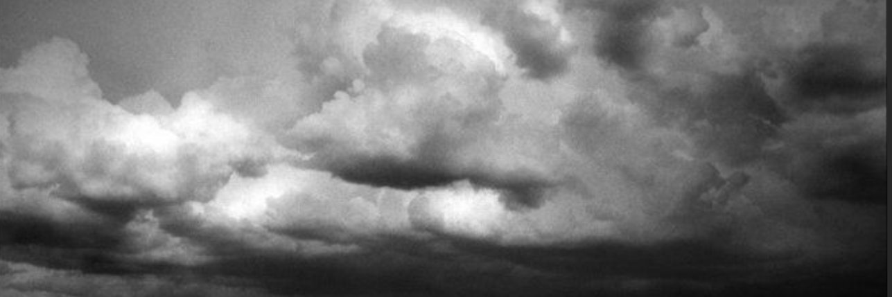 ilvedson's profile banner image