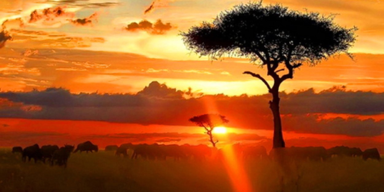 benwils_10's profile banner image