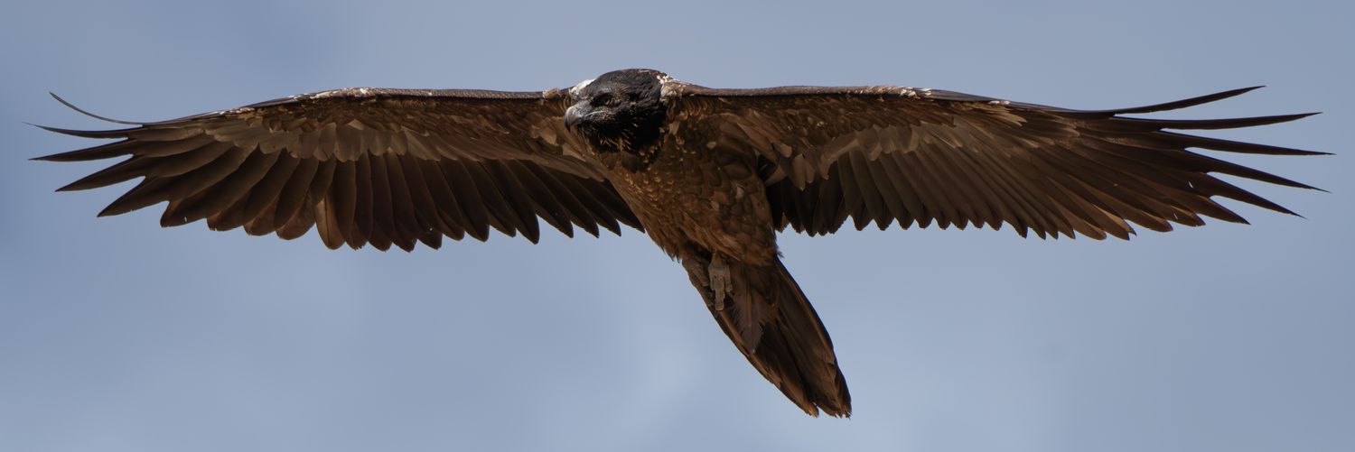 aydinkmurat's profile banner image
