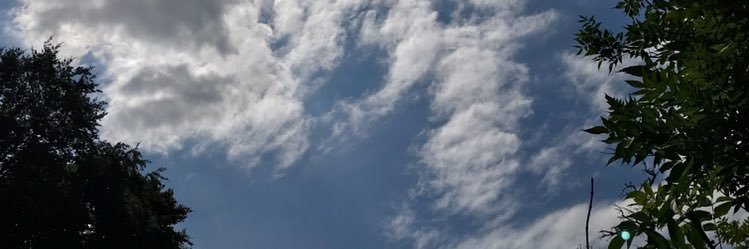 Kirsty Pearson banner
