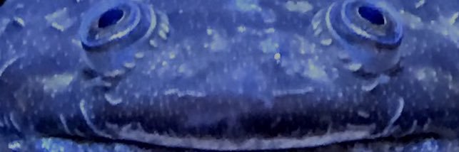 0722Fish8181818's profile banner image