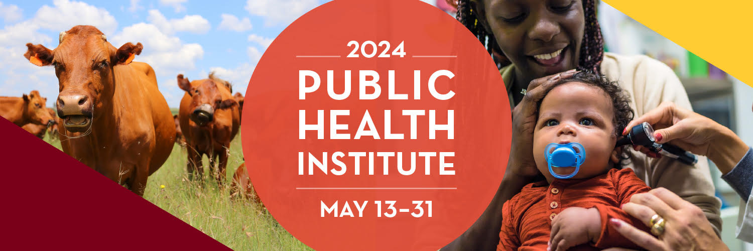 Pub Health Institute banner