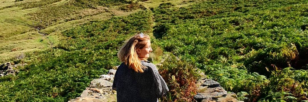 RhiannonLP2's profile banner image