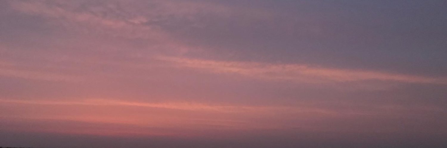 fireflystylesx's profile banner image