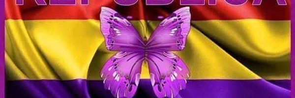 EduMejuto Profile Banner