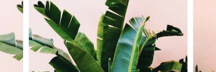 GenayMargot's profile banner image