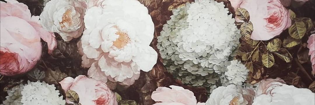Madison_dglv's profile banner image
