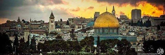 Moamen Nashwan~Gaza 🇵🇸's banner