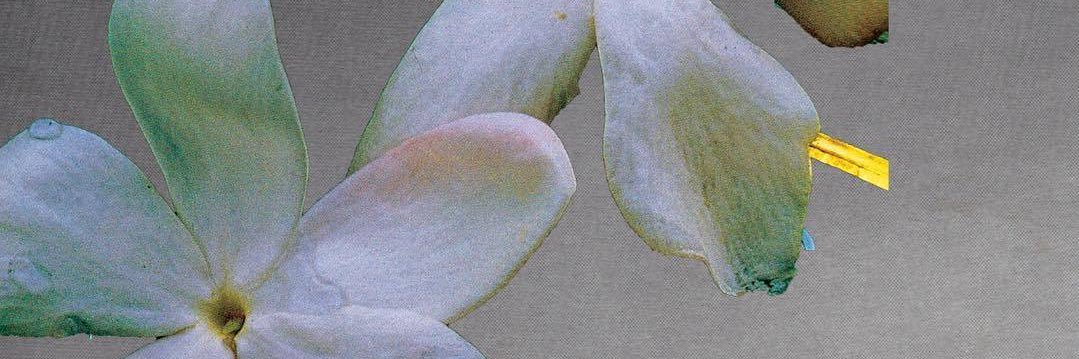 ohkkaee's profile banner image