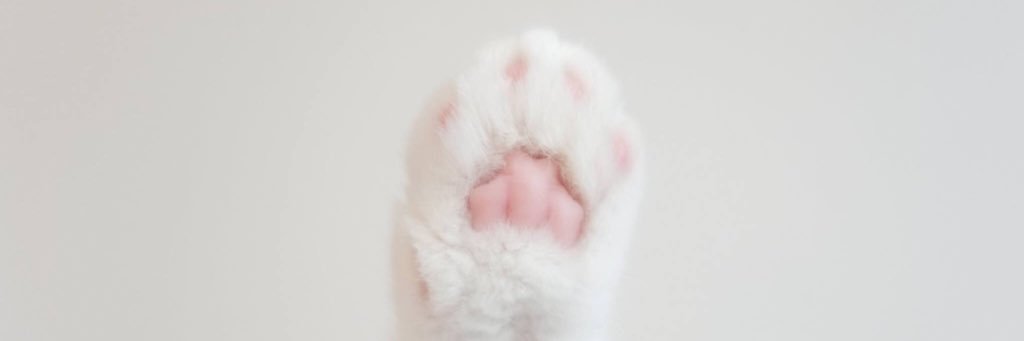 TowerTtt's profile banner image