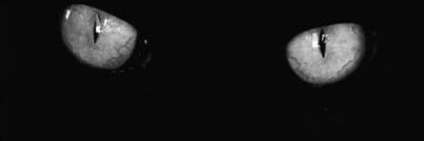 nanriib's profile banner image